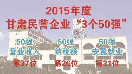  巍雅斯跻身甘肃2015年度民营企业“三个50强”