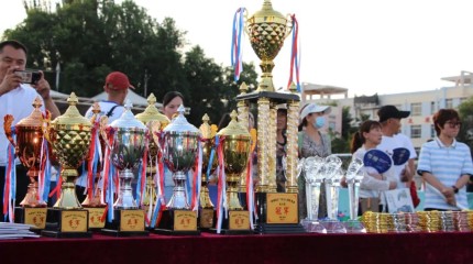  “桦琳地产”杯2023年临洮县全民健身三对三篮球对抗赛、五人制足球邀请赛圆满落幕